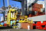 ID 1880 PORT OF AUCKLAND, NZ - Twin-lifting container loading, Axis Fergusson Container Terminal.